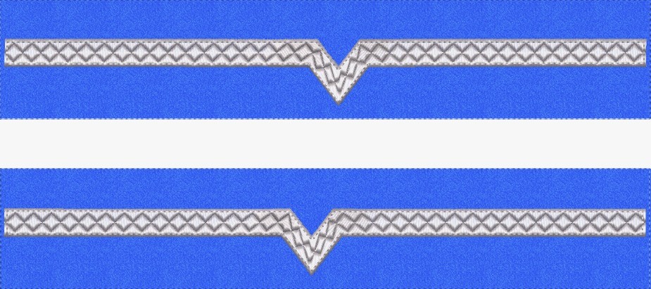 GRADE MANECA MAISTRU MILITAR CLASA 5 FORTE AERIENE